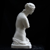 High 60CM plaster bust like Venus bust plaster bust like Venus avatar plaster bust