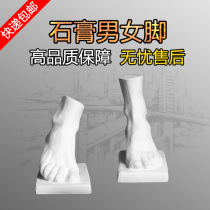 Art room supporting plaster image model Male feet Female feet Plaster art supplies School ornaments Single