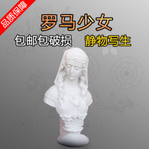 ROMAN GIRL PLASTER STATUE HEAD FIGURE 50CM TEACHING aids SKETCH sketch art STILL life sketch PORTRAIT sculpture
