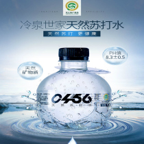 Wudalianchi water system cold spring family small grenade natural soda weak alkaline gasless drinking 300mlx24 bottles