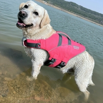 Zooland Lifeclothes Dog Taddy Golden Caucky Edge Small Large Dog Buoyancy Dog Swimsuit