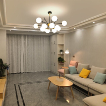 Nordic living room lights light luxury modern simplicity creative bedroom lights restaurant branches magic bean chandeliers whole house lighting packages