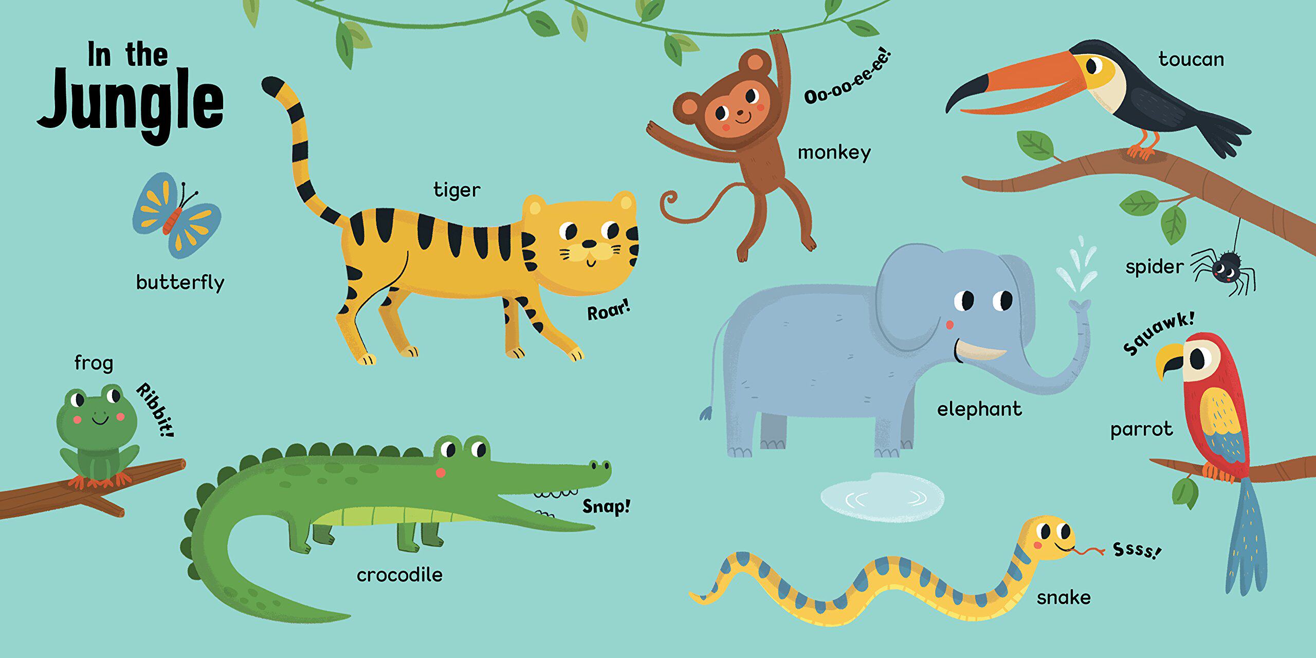 英文原版 a little book of animals / alphabet book / counting