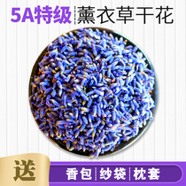 Xinjiang Ili Lavender Dried Flowers Grain Smoked Clothes Grass Essential Oils Wardrobe Fragrant Bag Pillow Filling bulk fragrant lavender