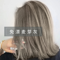 Malt Grey Hair Dye 2022 Popular Color Pure Self Dyeing Hair at Home White Foam Plant Dyeing Hair Cream Women