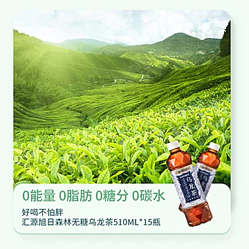 汇源旭日森林无糖乌龙茶饮料510ml*15瓶[10元优惠券]-寻折猪