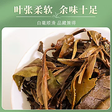 福鼎白茶茶叶太姥山寿眉茶陈香紧压白茶饼2[10元优惠券]-寻折猪