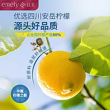 【拍一发二】以美冻干蜂蜜柠檬片100g[10元优惠券]-寻折猪