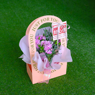 母亲节礼物【猫超】康乃馨盆栽手提花盒
