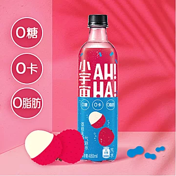 可口可乐小宇宙荔枝乳酸味气泡水480ml*12瓶[5元优惠券]-寻折猪