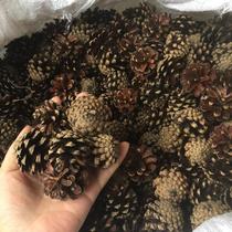 30 Christmas pine cones handmade DIY decoration Pine cones painting Kindergarten pine cones handmade ornaments hanging pine cones