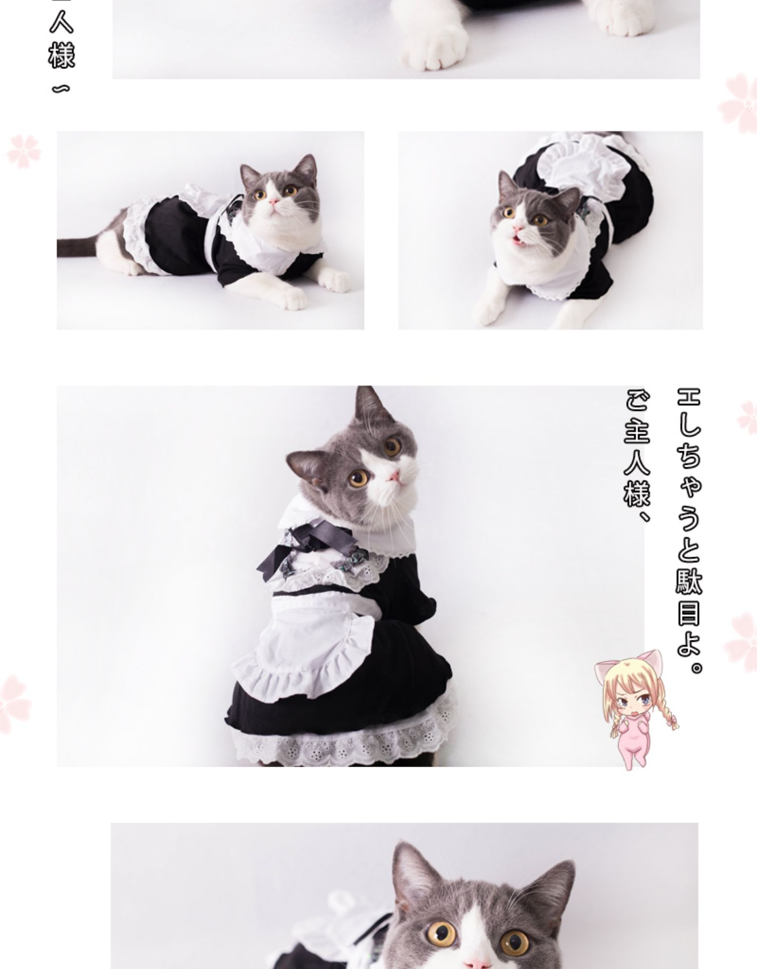 猫咪女仆衣服比熊泰迪衣服猫咪可爱卖萌cos女仆装帽套装连衣裙