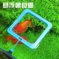 Fish Aquarium Floating tank Feeding circle Fish food feeding circle Small feeding circle Fish fish food feeding circle