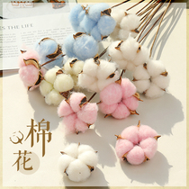 Natural cotton dried flowers ins photo props ornaments ornaments Flower arrangement pendulum props props photography shooting props