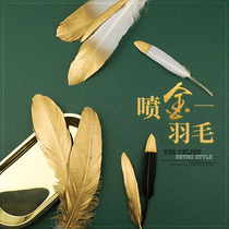 Golden feather photo props ornaments jewelry Skin care products decoration ins net red nail art photography shooting props