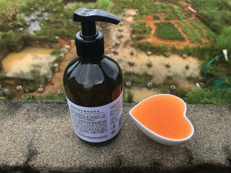 小众无硫酸盐硅油二恶烷生姜细末颗粒氨基酸洗发水去油屑强韧发根