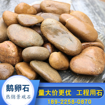 Natural goose egg courtyard garden fish tank lawn green belt river stone project paving bottom small stone landscape