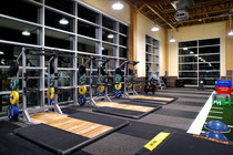 ELEIKO FITNESS ROOM COMPANION PROGRAM COMMERCIAL SUIT POWER LIFTING COMPANY COMPREHENSIVE EQUIPMENT INSTRUMENTS