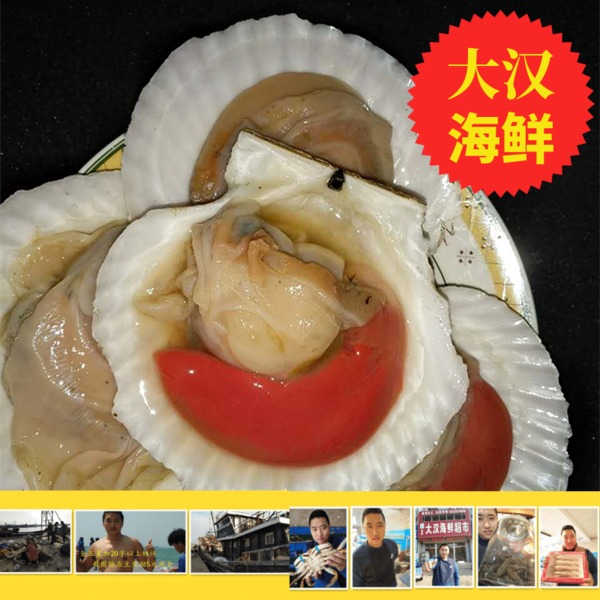 渤海湾新款秦皇岛北戴河野生超大虾夷贝蒜蓉粉丝扇贝特大250g以上 渤海湾新款秦皇岛北戴河野生超大虾夷贝蒜蓉粉丝扇贝特大250g以上
