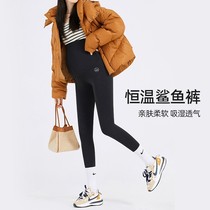 Prescriptive leg length ~ Pregnant pants Barbie pants Spring and autumn pants Shark pants Big size Nine trousers Pregnant women underpants