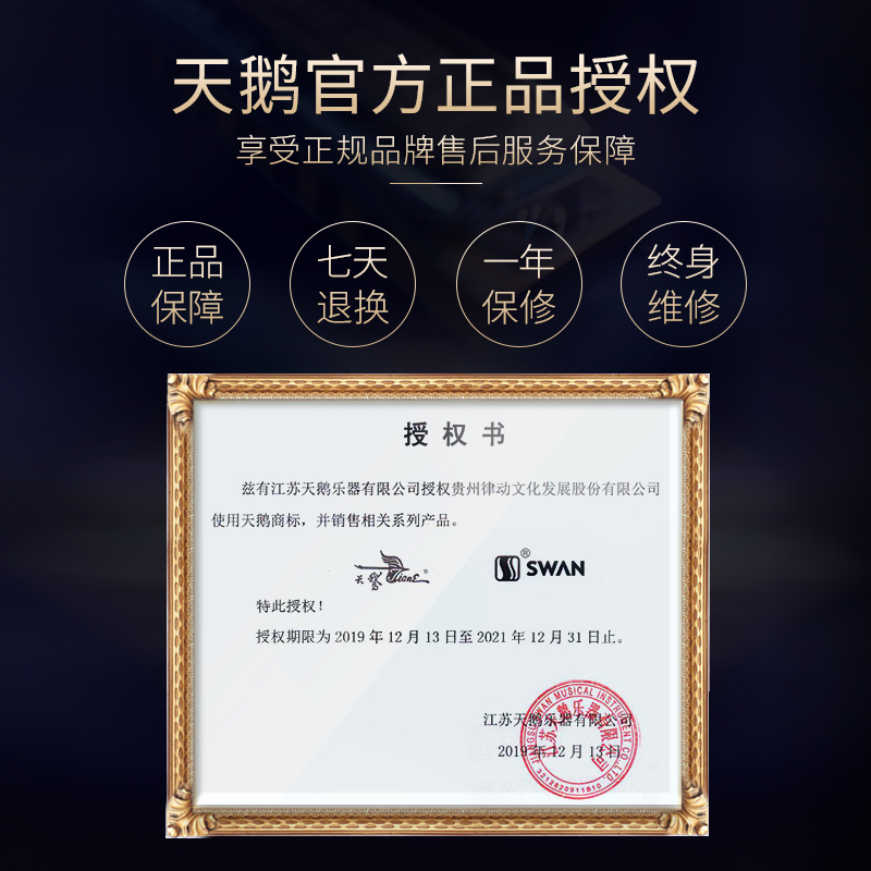 swan harmonica 28-hole advanced adult professional performance level beginners getting started students accent polyphonic c key instrument