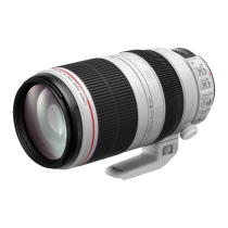Canon EF 100-400mm f 4 5-5 6L IS II USM Telephoto Lens 100-400