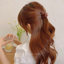Small grappling clip female summer hairclip back head hairclip headgear headgear hair hair accessories acetate shark clip hairpin