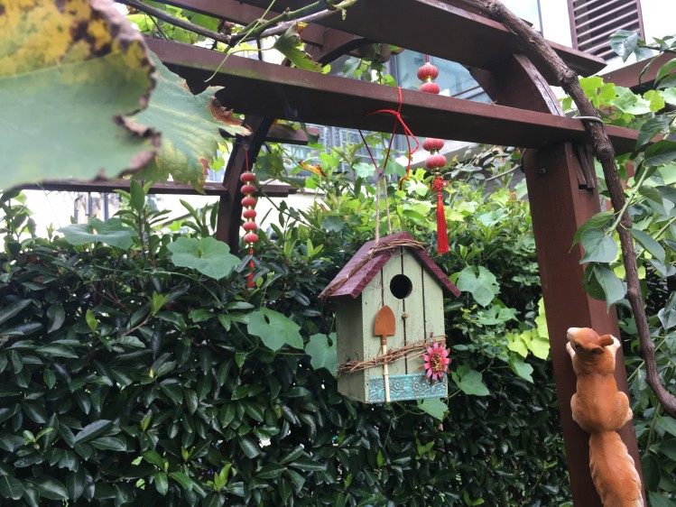 outdoor courtyard hardwood simulation house bird ne