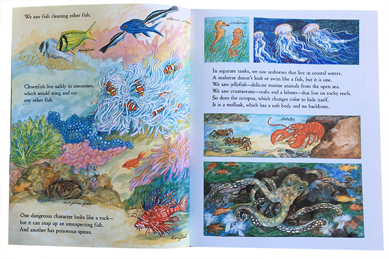 my visit to the aquarium 逛逛水族馆 名家aliki 少儿英语绘本书