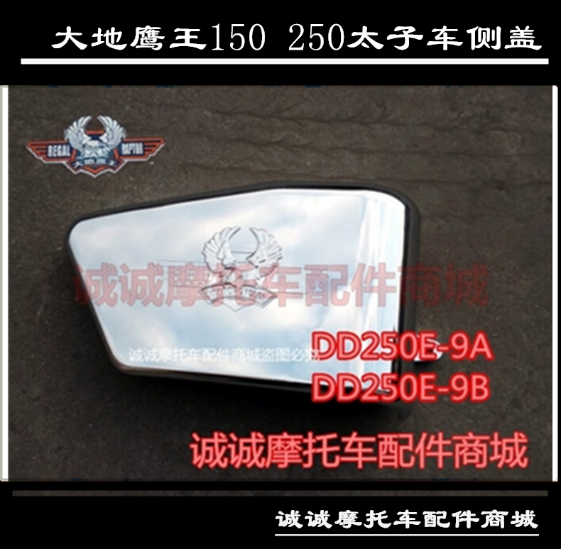 Earth eagle king DD250E-9A E-9B 9C motorcycle left and right side cover guard plate Battery cover decorative plate accessories