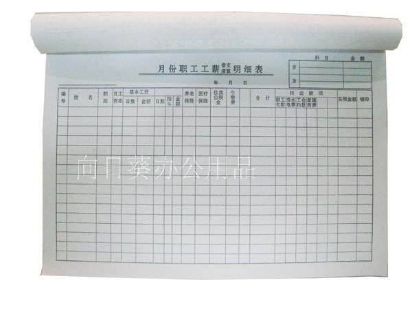 工资表 工资支付表 财务凭证账本 帐页 工资发放