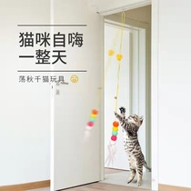 Cat swinging on the swing hanging door self-healing elastic funny cat Peg kitten happy toy explosion style