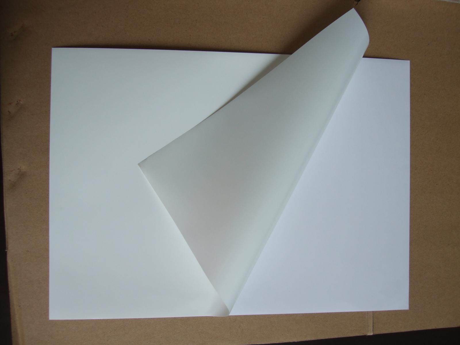 空白整张白色a4纸防水防油防污撕不烂擦不掉不干胶标签纸防水标