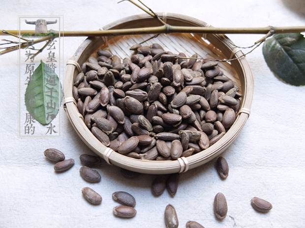 神农架 野生中药材瓜蒌子天花种子生瓜蒌籽葫芦子吊葫芦子3份包邮