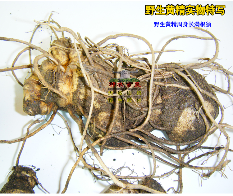 神农架野生黄精片黄精茶鸡头参泡酒泡茶炖汤滋补250克