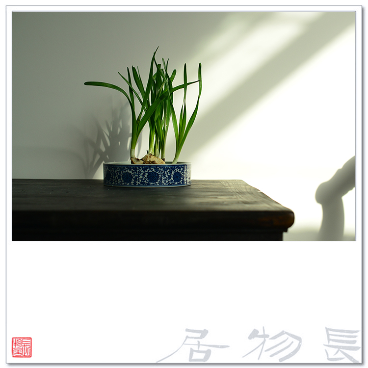 Offered home - cooked ju long up built hand - made XiCha blue tie up branch lotus water wash water writing brush washer refers to basin of jingdezhen ceramic tea set