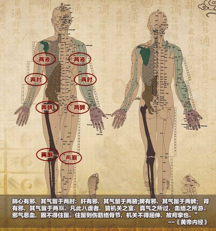 洪光洪光经络健身操 教学版