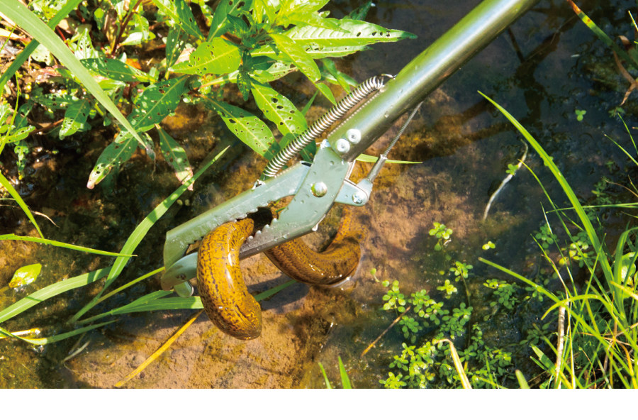 黄鳝不锈钢钳鱼多用途夹蛇工具蛇器钳夹子防滑泥鳅抓钩鳝鱼捉折叠