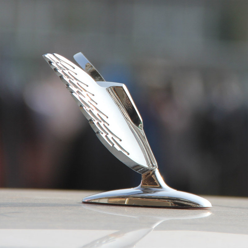 3d立标 引擎盖立标 翅膀立标 汽车改装车头立标