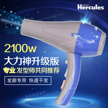 Hercules sea song Lis 5932 hair dryer speed Silver Fox 5931 upgraded version hair salon dedicated hair dryer
