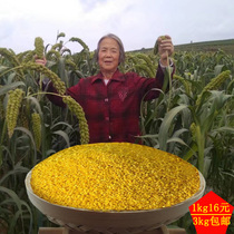 Qinzhou Yellow Xiaohuang Rice Yellow Xiaomi Millet Shanxi Lanxian Rice Rice Rice Rice Pomeles Rice Above 3kg