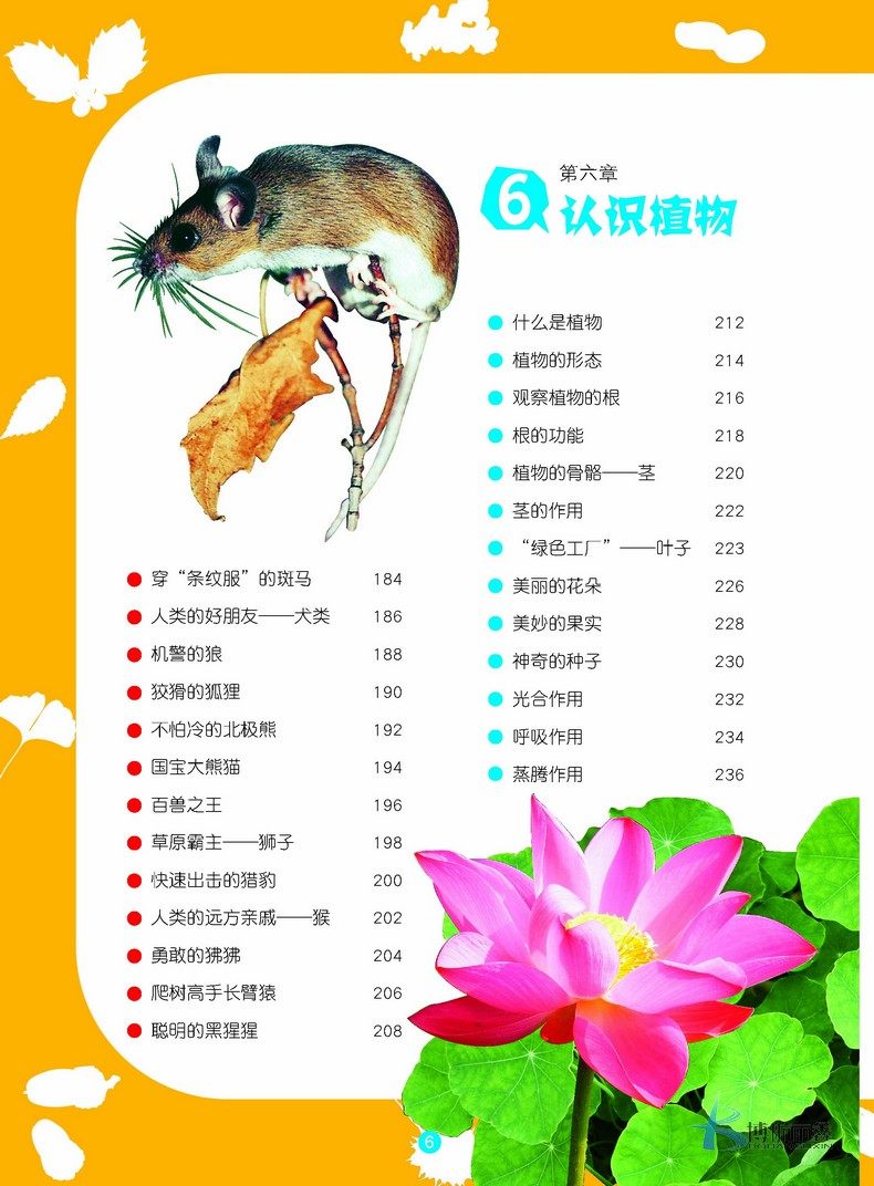 博航丽鑫图书专营店小百科