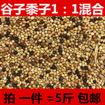 Main with shell of millet 2 in tiger peony parrot bird bird feed 5 kg