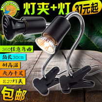 Bird heating lamp uvb lamp full spectral solar light heating lamp Petting bulb uva drying tortoise lamp