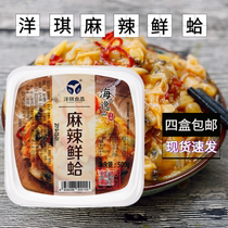 The Japan-style small dish is convenient for fresh clams and delicious foreign Qi Spicy Fresh Clams 500g House of Wine House Daily Frozen Ready-to-eat