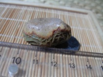 Alxa Gobi strange stone via gangue vein stone original stone pictograph animal Stone