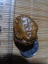 Nine-eyed shale stone eyes Stone gold and stone beads