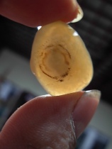 Gobi agate raw stone shape agate Silver root agate sketch stone pictographic stone carving material pendant