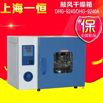 Shanghai Yiheng DHG-9240 DHG-9240A Electric constant temperature blast drying oven Constant temperature drying oven oven