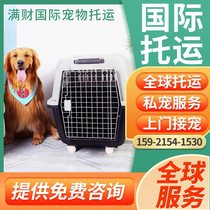 Shanghai international pet shipping service nationwide dog and cat pet shipping shipping quarantine certificate entry customs clearance